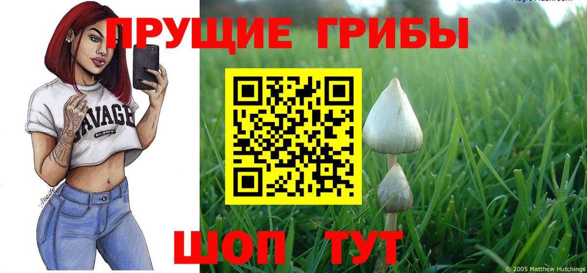 Усть-Илимск  Псилоцибиновые грибы GOLDEN TEACHER  Вход с VPN 