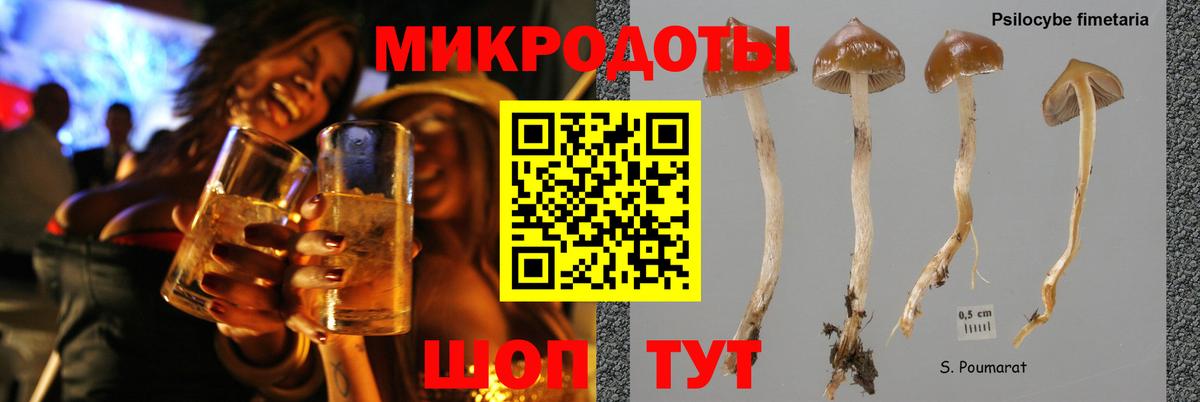 Псилоцибиновые грибы мицелий Усть-Илимск